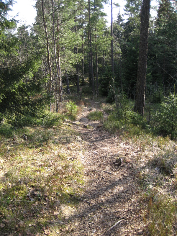 IMG_0499.JPG