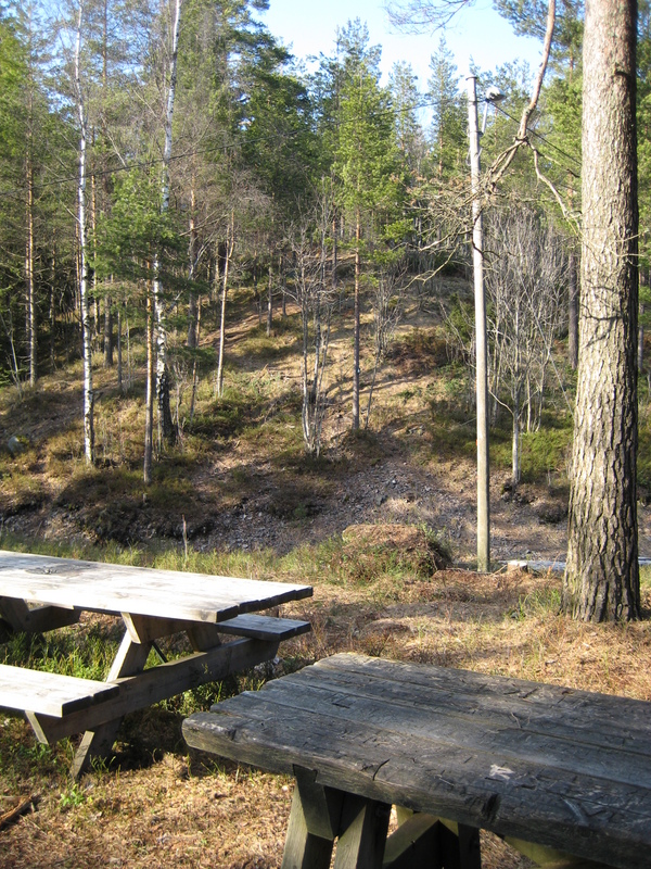 IMG_0502.JPG