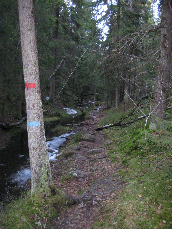 IMG_0510.JPG