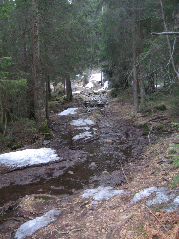 IMG_0511.JPG