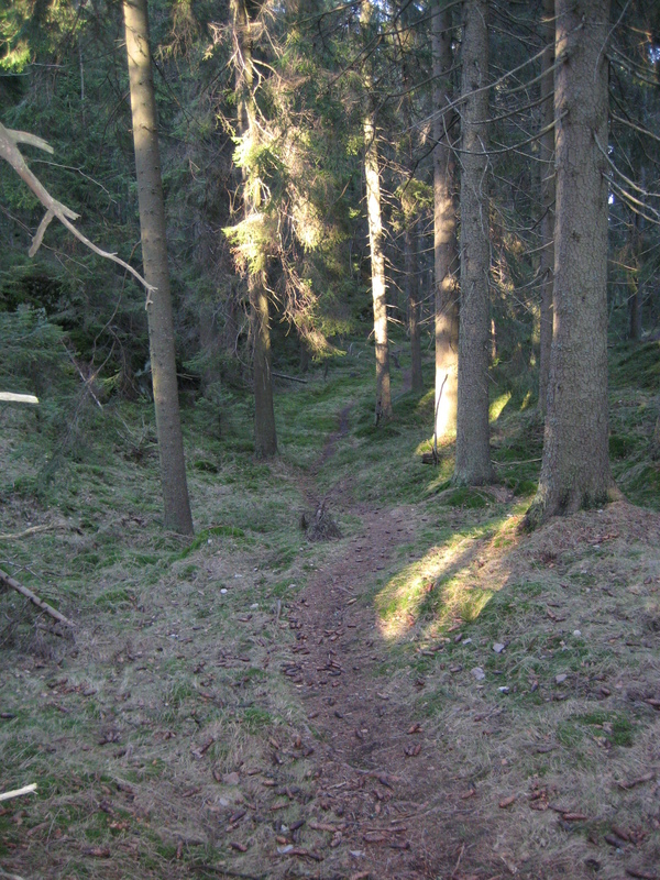 IMG_0524.JPG