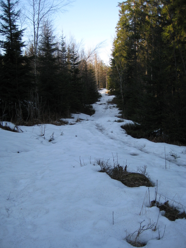 IMG_0525.JPG