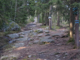 IMG_0498.JPG