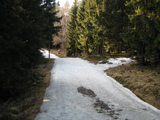 IMG_0503.JPG