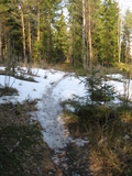 IMG_0504.JPG
