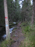 IMG_0510.JPG