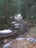 IMG_0511.JPG