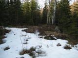 IMG_0515.JPG