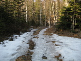 IMG_0516.JPG