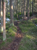 IMG_0520.JPG