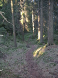 IMG_0524.JPG