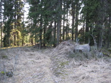 IMG_0527.JPG