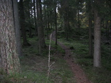 IMG_0531.JPG