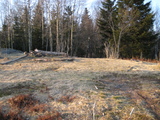 IMG_0533.JPG