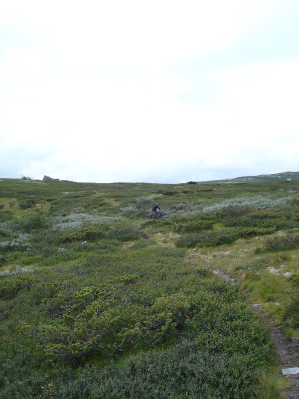 2006-08-16_skeikampen_10.jpg
