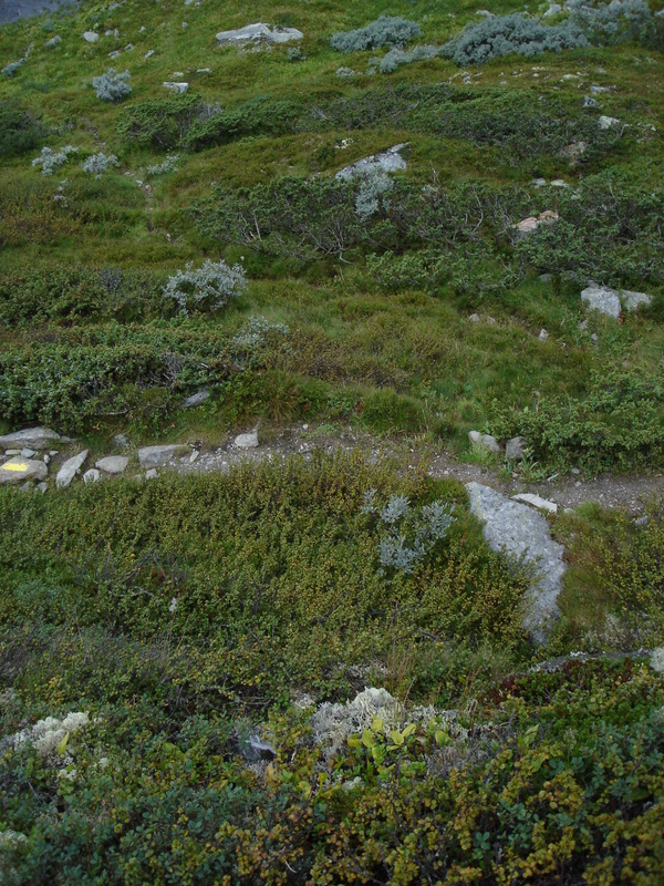 2006-08-16_skeikampen_32.jpg