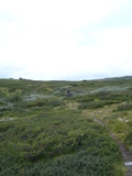 2006-08-16_skeikampen_10.jpg