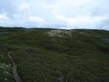 2006-08-16_skeikampen_12.jpg