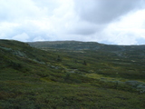2006-08-16_skeikampen_13.jpg