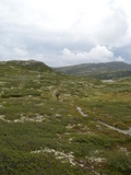 2006-08-16_skeikampen_24.jpg