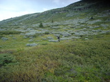 2006-08-16_skeikampen_38.jpg