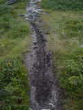 2006-08-16_skeikampen_47.jpg
